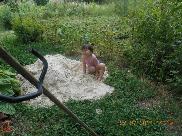 Фариза Тупчева