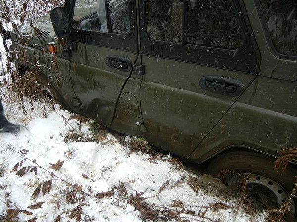 Владимир Пушкарев