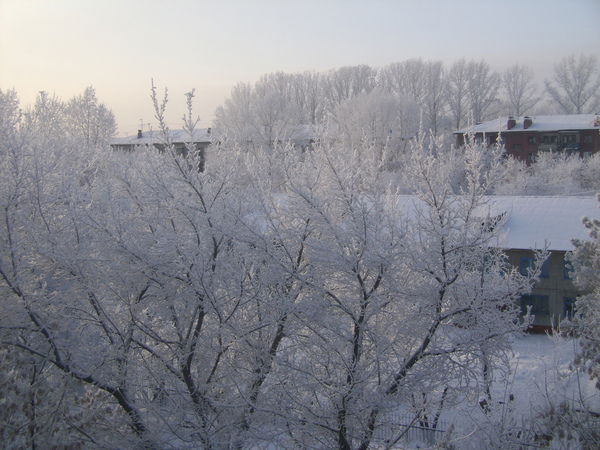 Елена Коробейникова