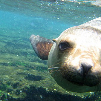 Тамара Дацко