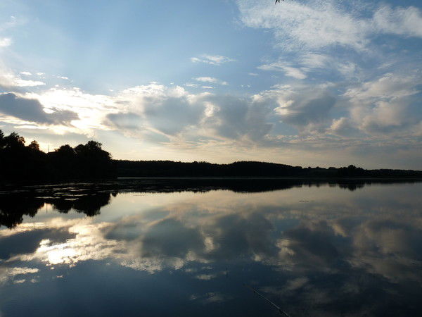 Антон Скворцов