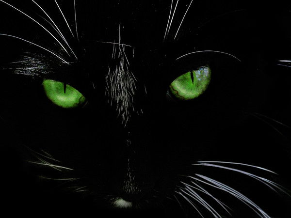 Ма..ша Ма..ша