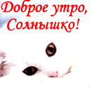 Люда Люда