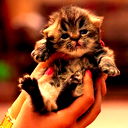 Totuw Totuwlu