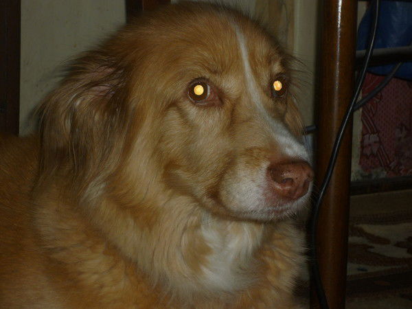 Оксана Ивушкина