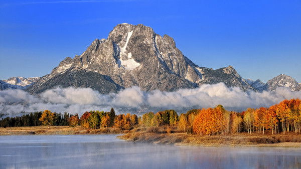 Ирина Лосева