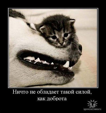 Элеонора Мякотникова