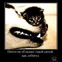 Элеонора Мякотникова