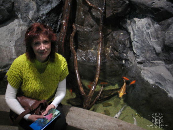 Татьяна Попович