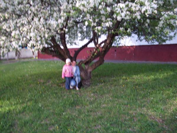 Надежда Петрова