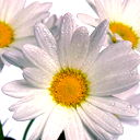 Saida Ramazanova