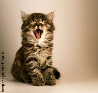 Ирина Улиницкая