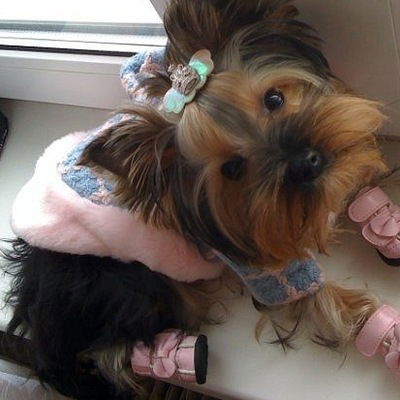 Амина Верещетина