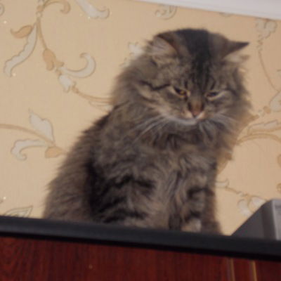 Лариса Бацанова