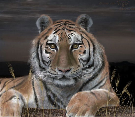 Евгений Горпинченко