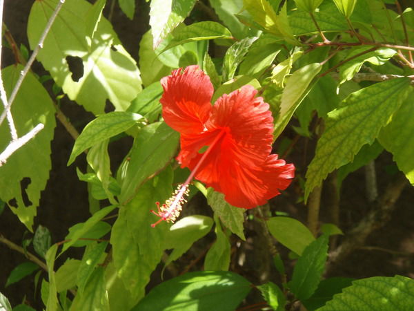 Татьяна Федорова