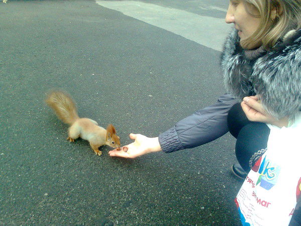 Елена Сагина (Дерябина)