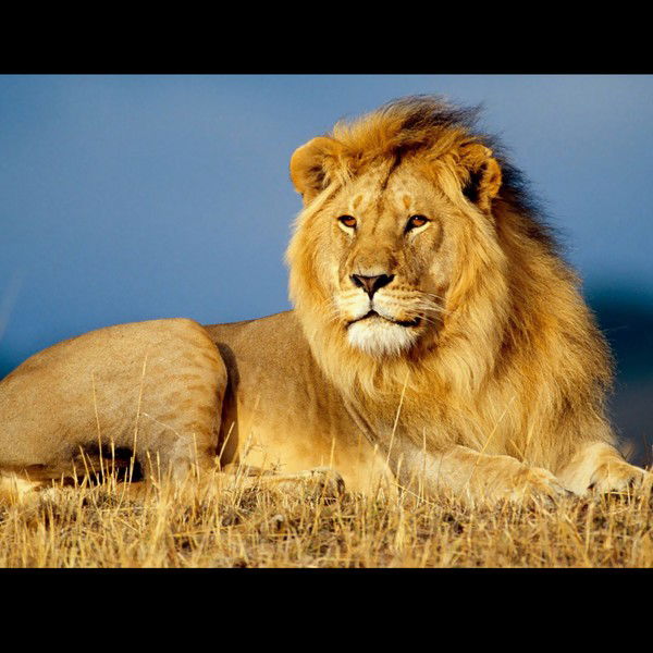 Артур Шахназарян