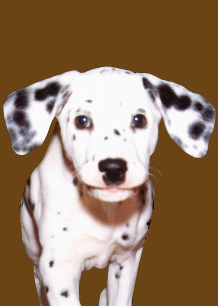 Татьяна Миронова