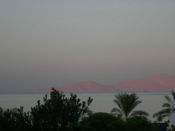 Екатерина Куликова