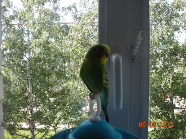 Наталия Штатных