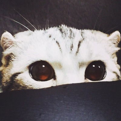 Виктория Темурова