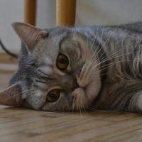 Матильда Карловна