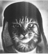 Сергей Матвев