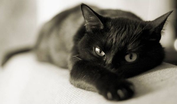 Людмила Кливец