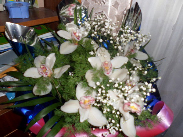 Алма Бохаева