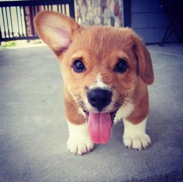 Аня Сватухина