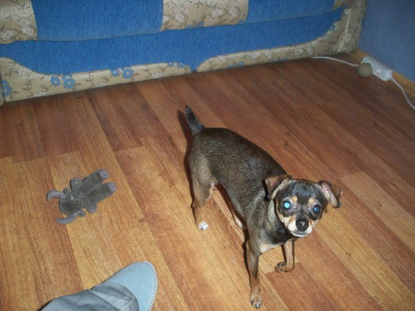 Полина Окунева