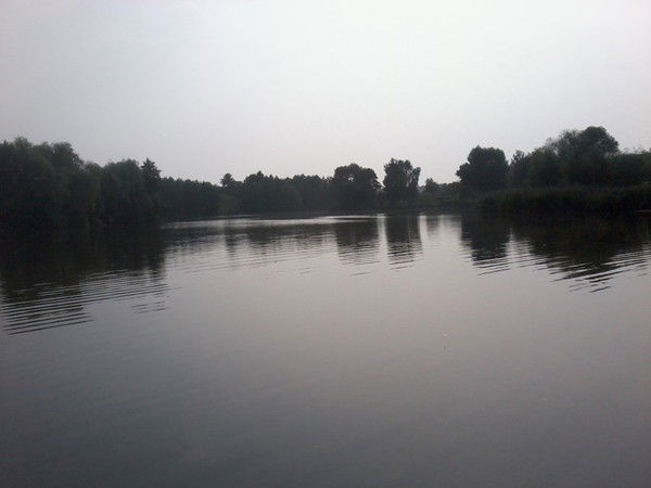 Дима Наумчук