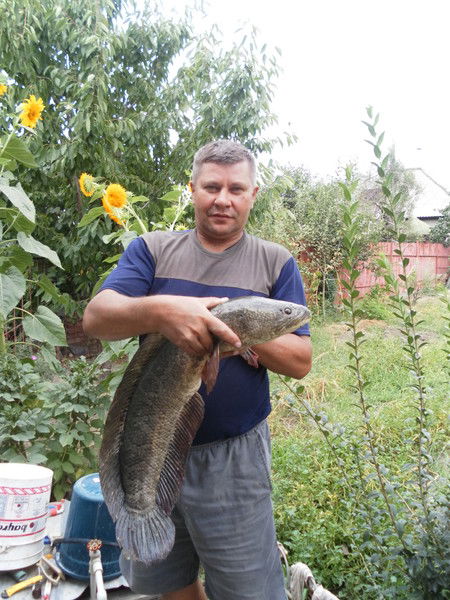 Виктор Аксёнов