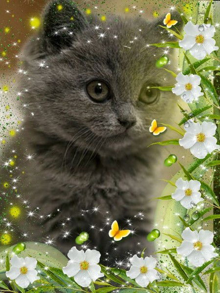 Люда Буторина