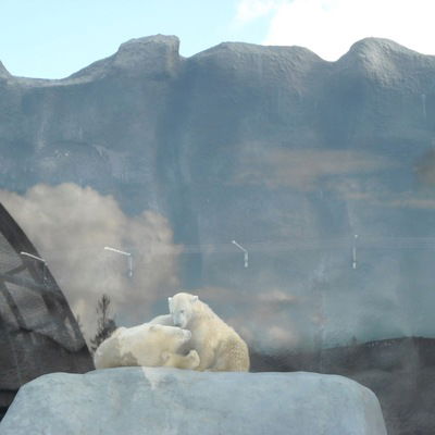 Света Селюнина