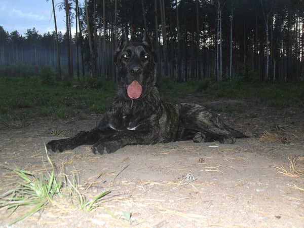 Вера Ворожцова