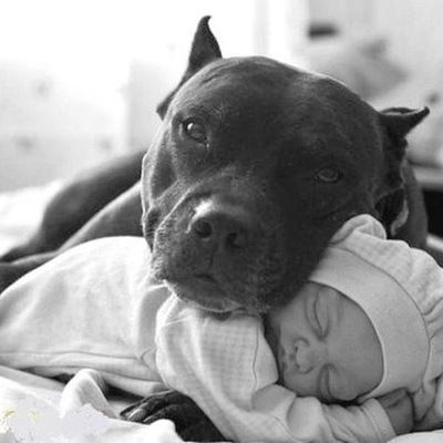 Мурат Абдуллаев