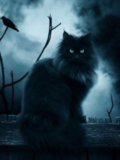 Рустем _Галимов_