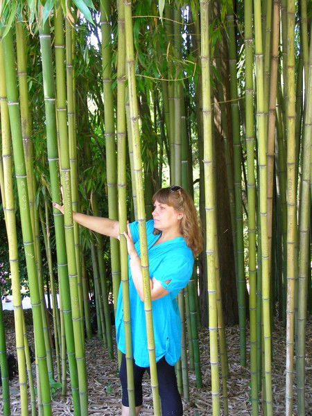 Ларачка Лариса