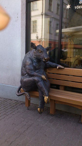 Игорь Цыганов