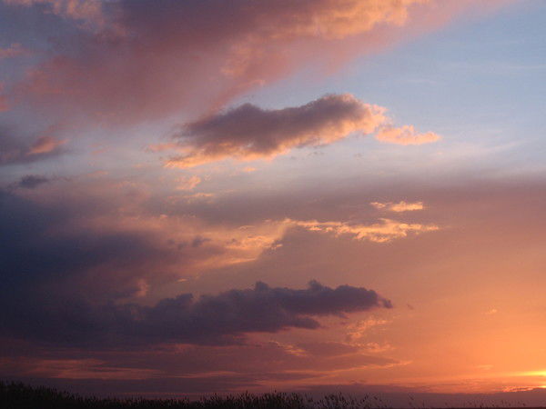 Ксения Кобзева