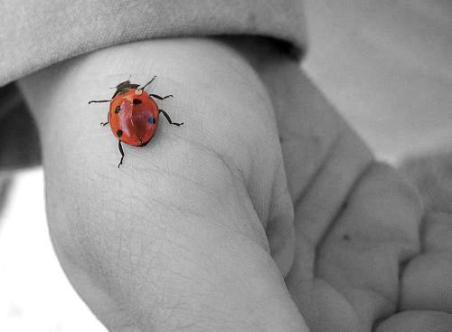 Екатерина Борискина