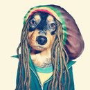 Санчер Дройский