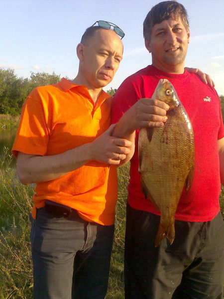 Виктор Тимошин