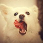 Иван Карабанов