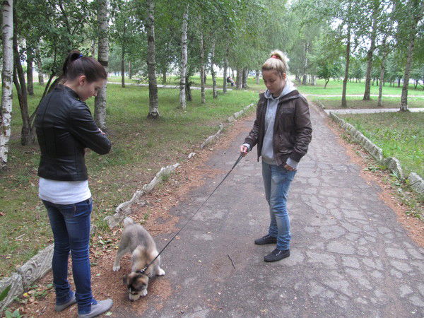 Ригина Майклсон