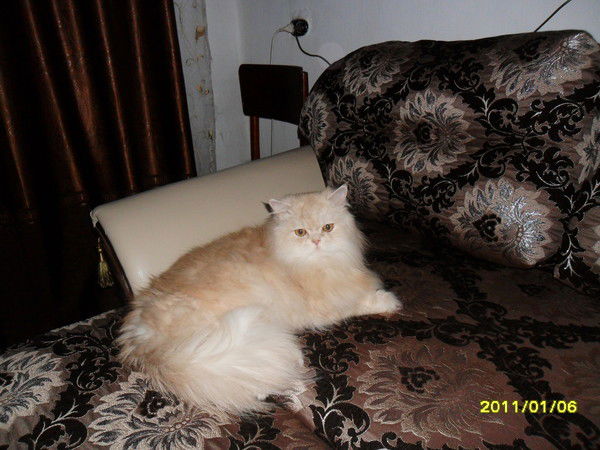 Татьяна Фрицлер