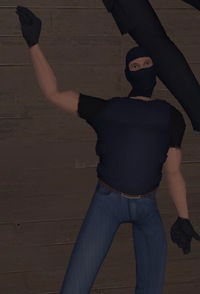 Некит Шамшурин