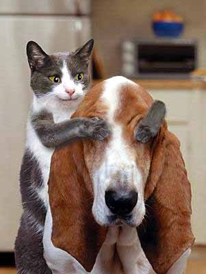 Маша Конакова